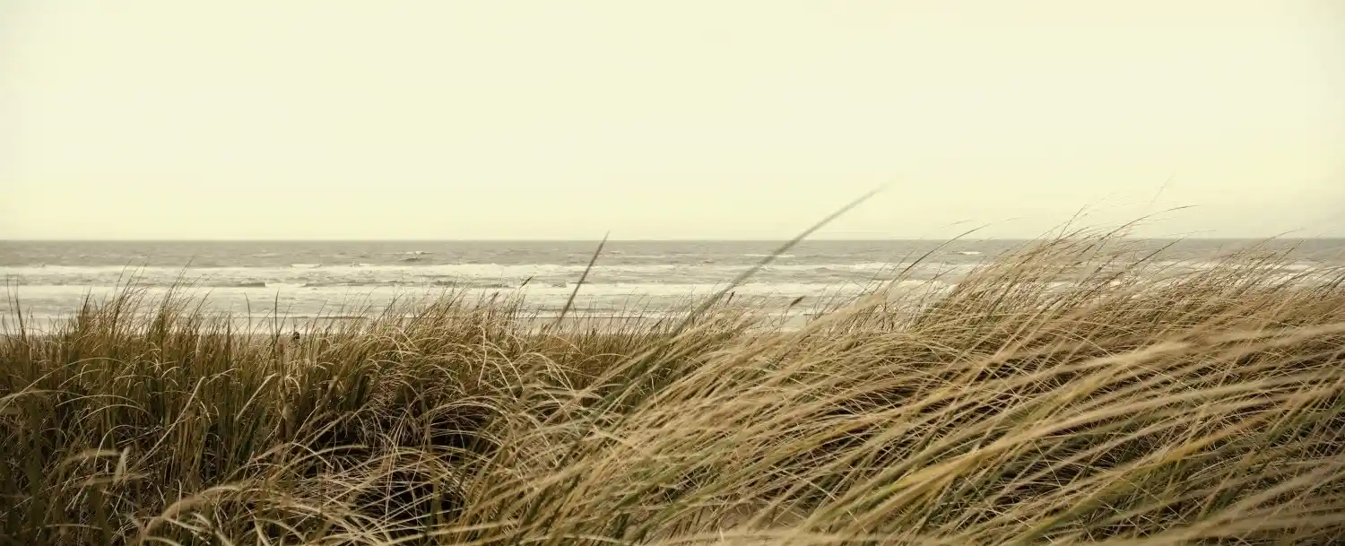 un bord de mer en bretagne